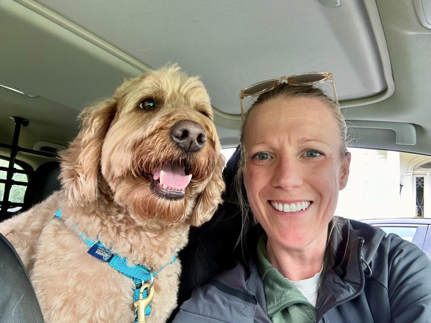 Happy Monday! I can&rsquo;t wait to see my  pups!#marincanineadventures #doglife #happy-dog #dogsofinsta #dogsofinstagram #dogohotography #marindogs #traildogs #hikewithdogs #goldendoodle #goldendoodles #goldendoodlesofinstagram