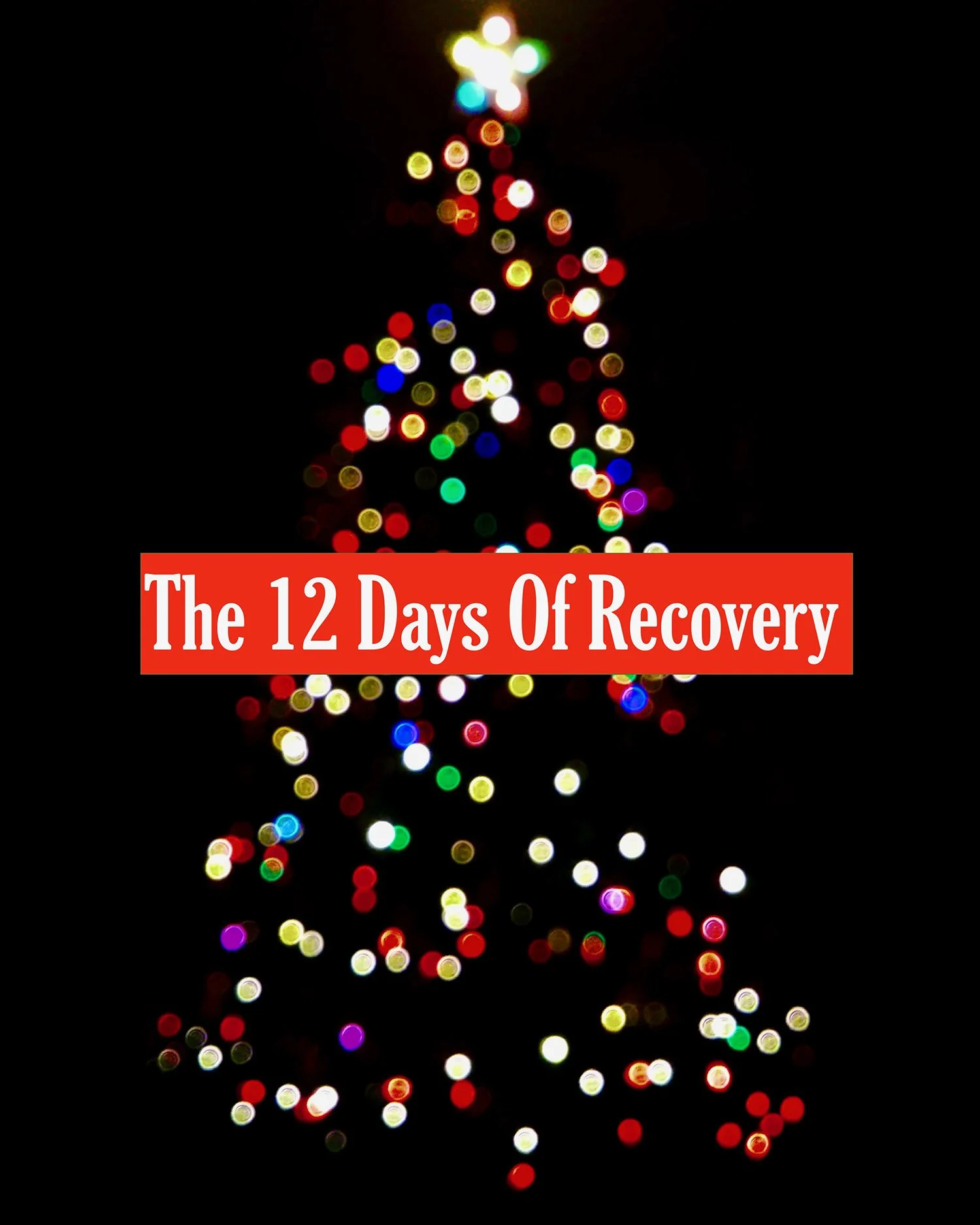 The Twelve Days Of Recovery: The AA Steps &amp; Principles