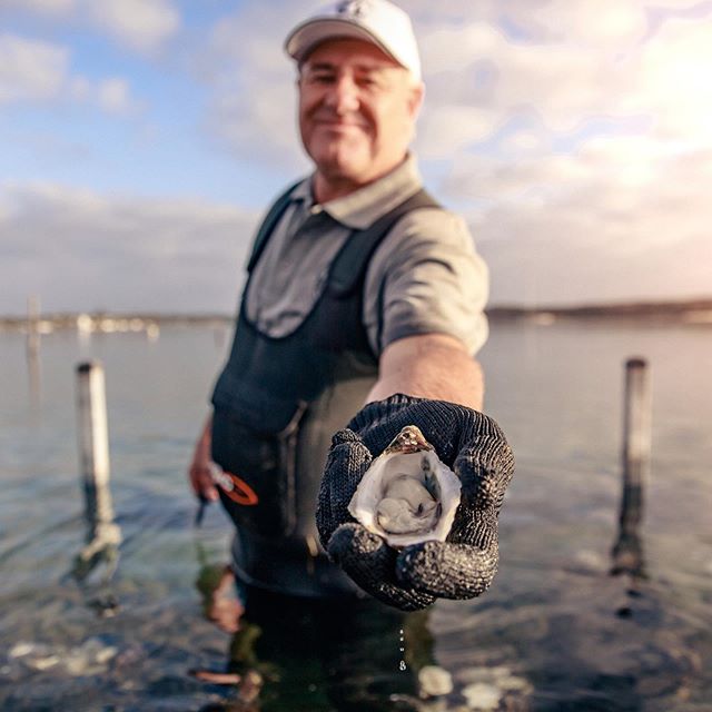 An up-close and personal experience with the oyster farmer himself! 📷 @southaustraliatourism