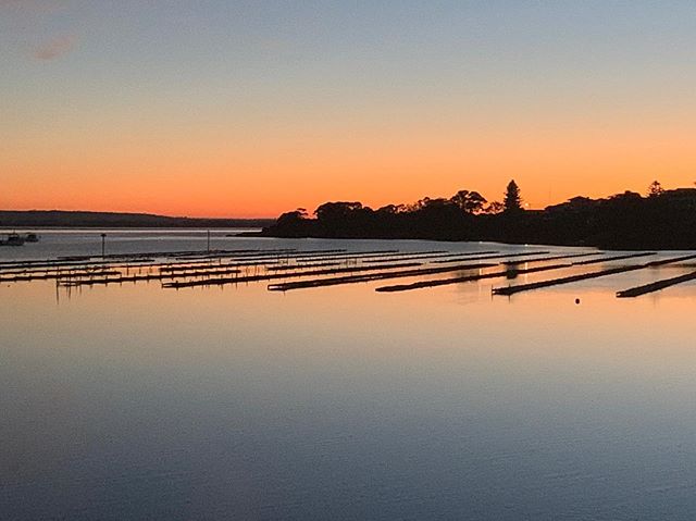 A beautiful sunrise, water like glass... the serenity of Coffin Bay! 
#coffinbay #southaustralia