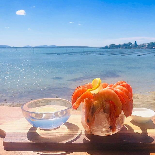 Spencer gulf prawns with a view like no other!  At Oyster HQ after @coffinbayoysterfarmtours