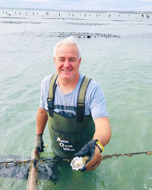 This is Ben, he&rsquo;s the Oyster Farmer and Tour Guide!  If you book a tour, this is who will lead you into the water wearing waders, pour you a glass of wine and tell you a few stories about Oysters! .
#seafood #eyrepeninsula #southaustralia #oyst