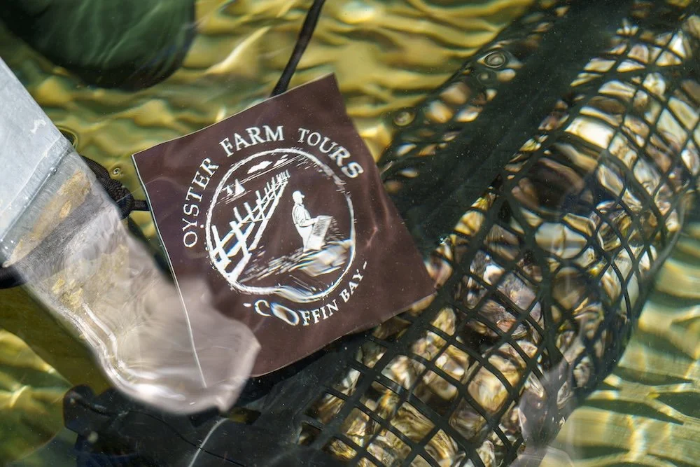 basketlogo.jpg