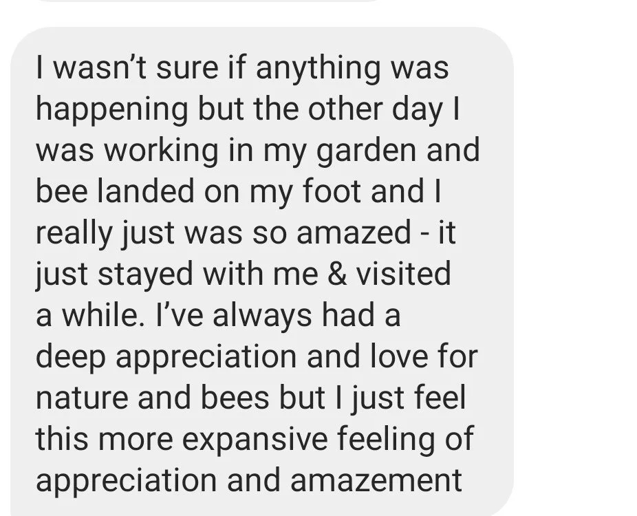 Message 1 - Garden.jpg