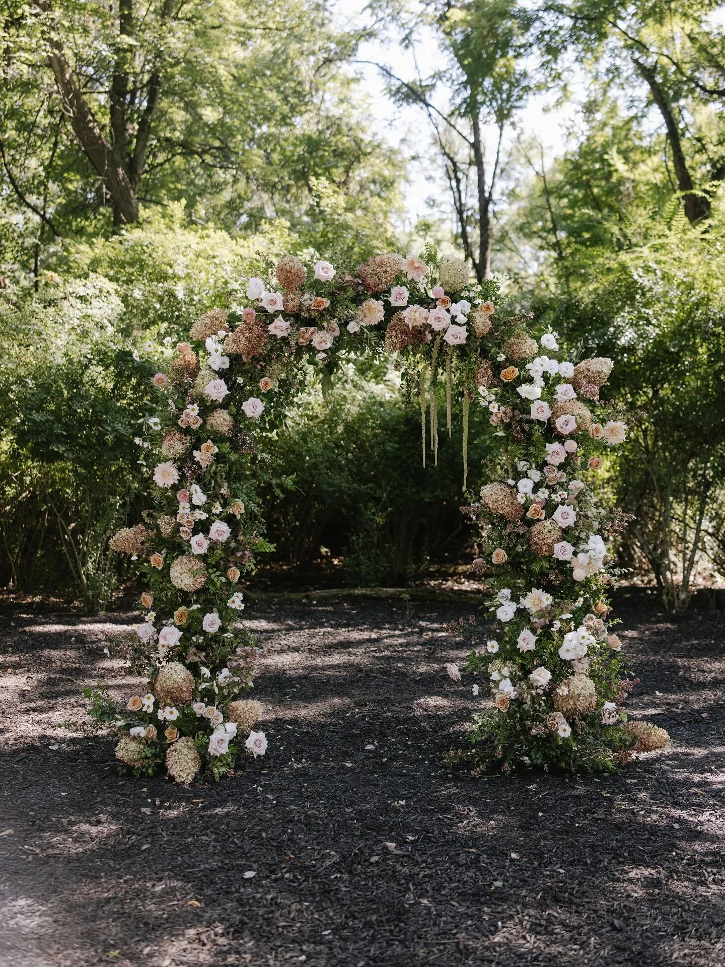 my best friend got married &amp; was crazy enough (and awesome) to let me plan the entire thing. best day ever ✨
.
.
Lead photographer: @laurennorellephoto 
Second 📸: @tiffanylantzphoto 
Florals: @oliveandorangefloral 
Coordinator: @samantha_blakeev
