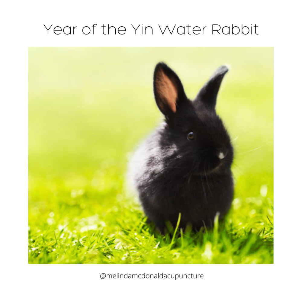 Year of The Yin Water Rabbit — melinda mcdonald acupuncture