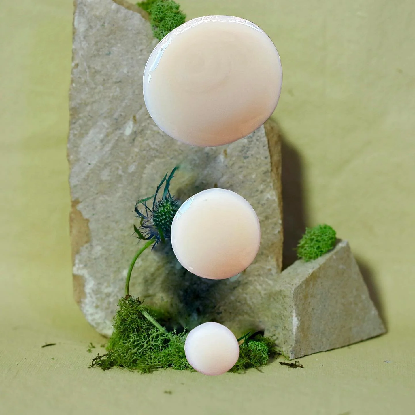 ANTI-AGING ✦ REFINING ✦ REGENERATING
www.tezorabeauty.com | 8 ✧ 22 ✧ 22