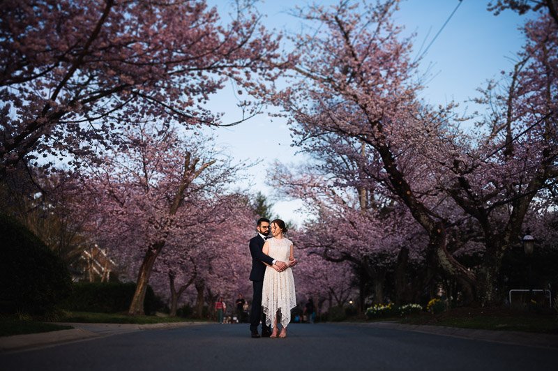 spring-cherry-blossom-wedding-bethesda-jsasuphotography-1.jpg