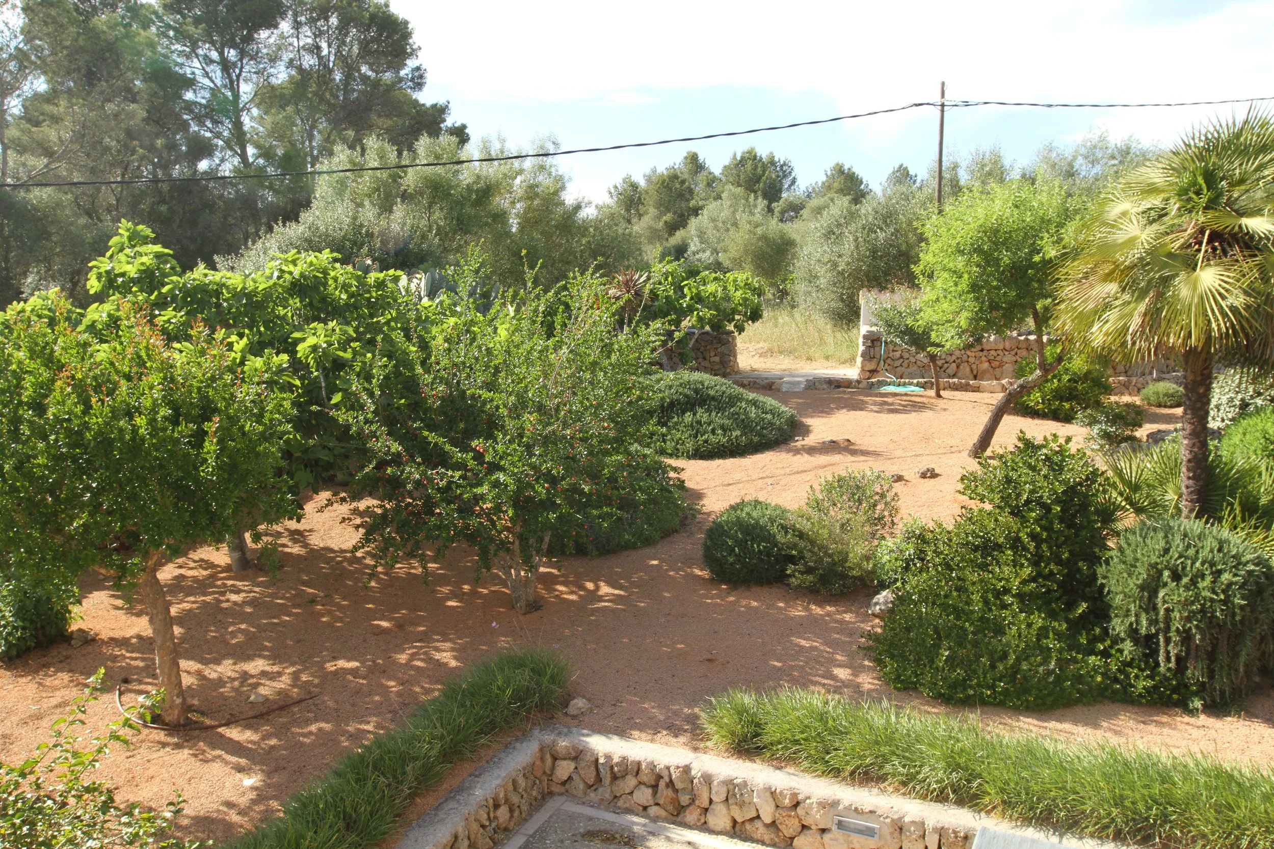 29 Jardí Posterior  Ruberts.JPG