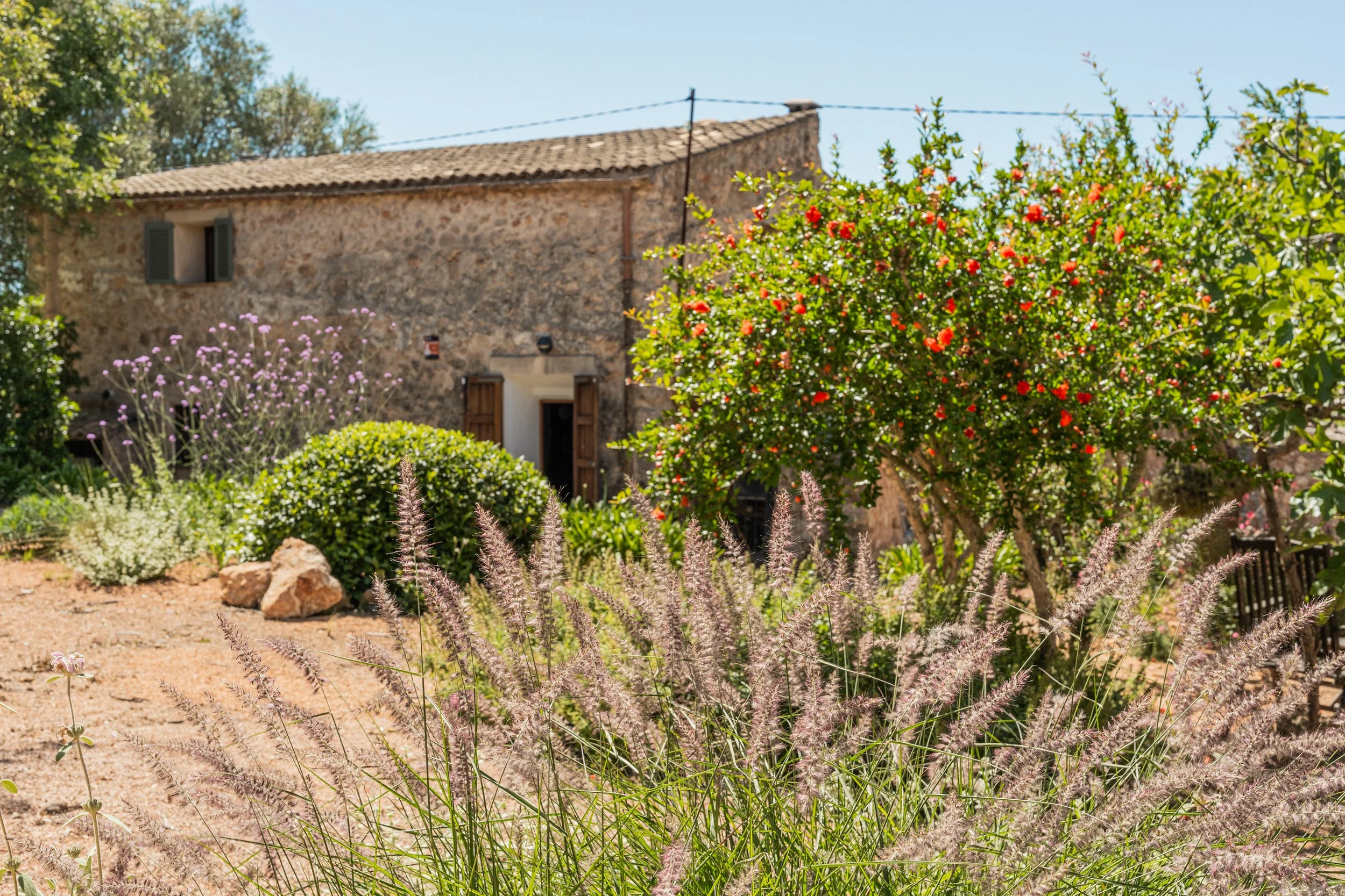 32 Jardí Posterior Desde Escales  Ruberts.JPG