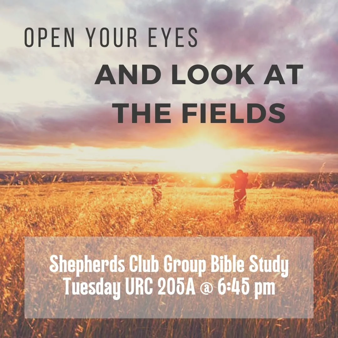 Join us for our last group Bible study of the year! It's somehow perfect timing with a passage about seeing the harvest that Jesus sees, with Thanksgiving right around the corner. Let's work side by side with Jesus and fill our hearts with thanks to 