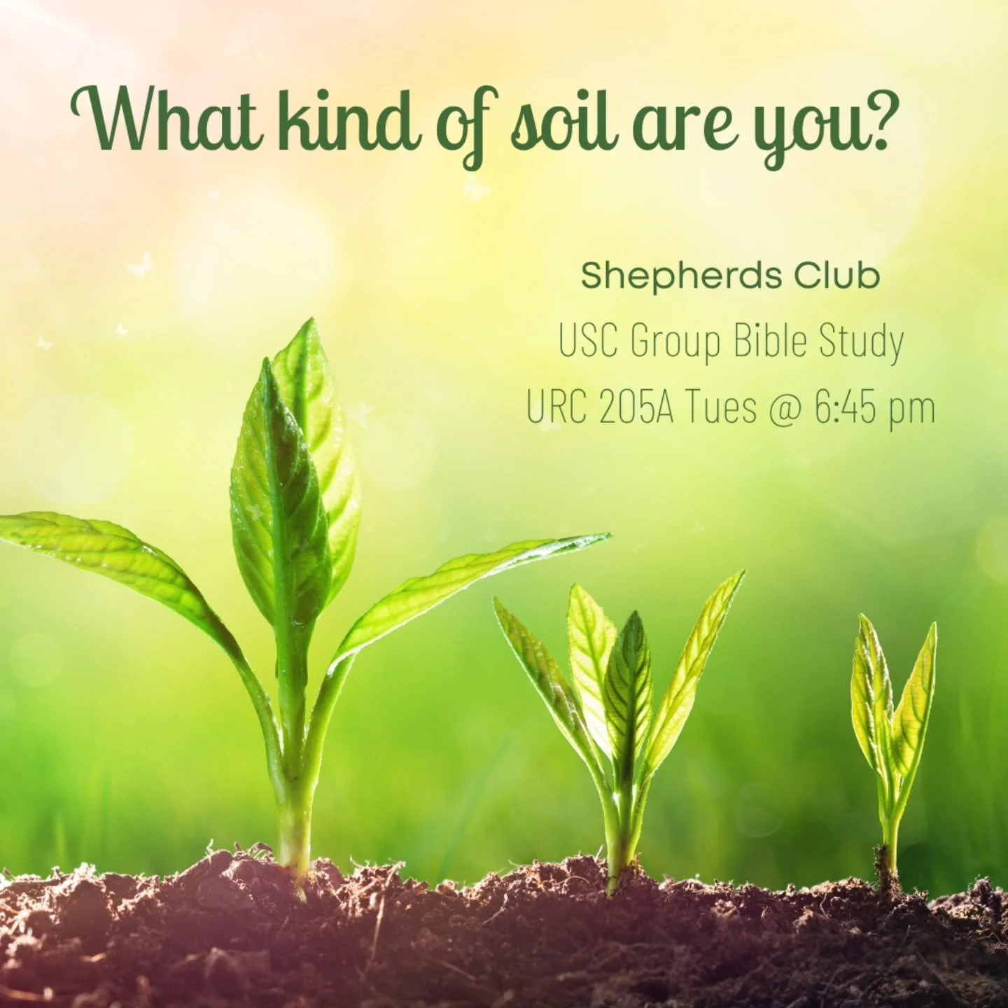 We meet for group Bible study Tuesdays at URC 205A - join us for a snack and a deep dive into the book of Mark!

Or feel free to join via zoom:

Meeting ID: 979 0327 5149
Passcode: 154449 

#uscshepherdsclub #uscchristians #uscchristianstudents #uscc