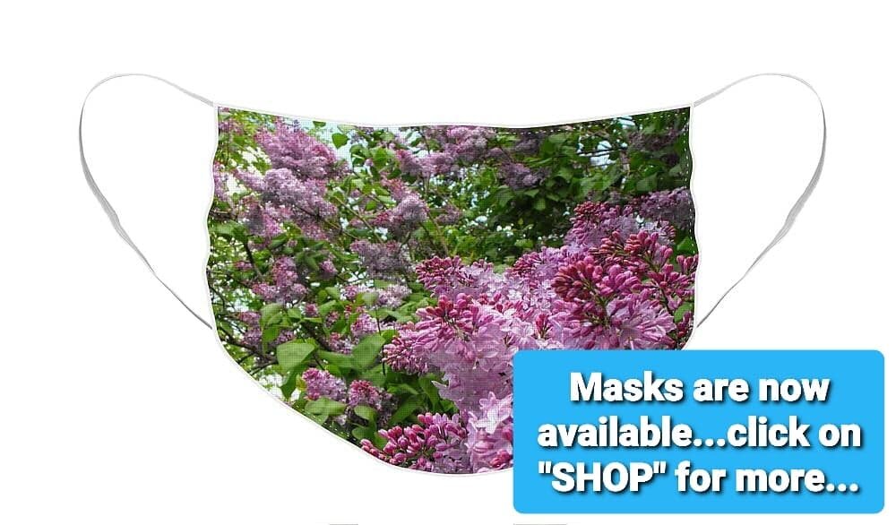 Click on the "SHOP"link at the top of the page for more options on masks and many other photo options! Thanks!