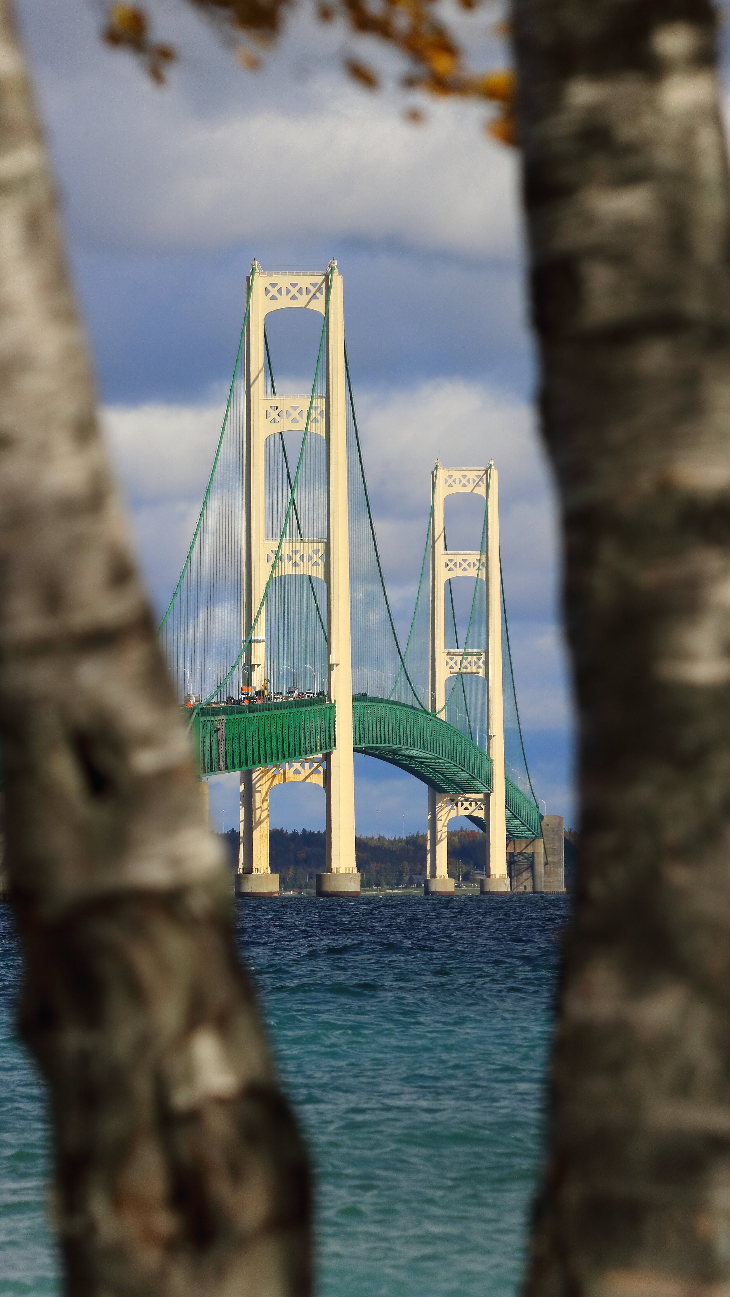 Mackinaw Bridge and the Trees