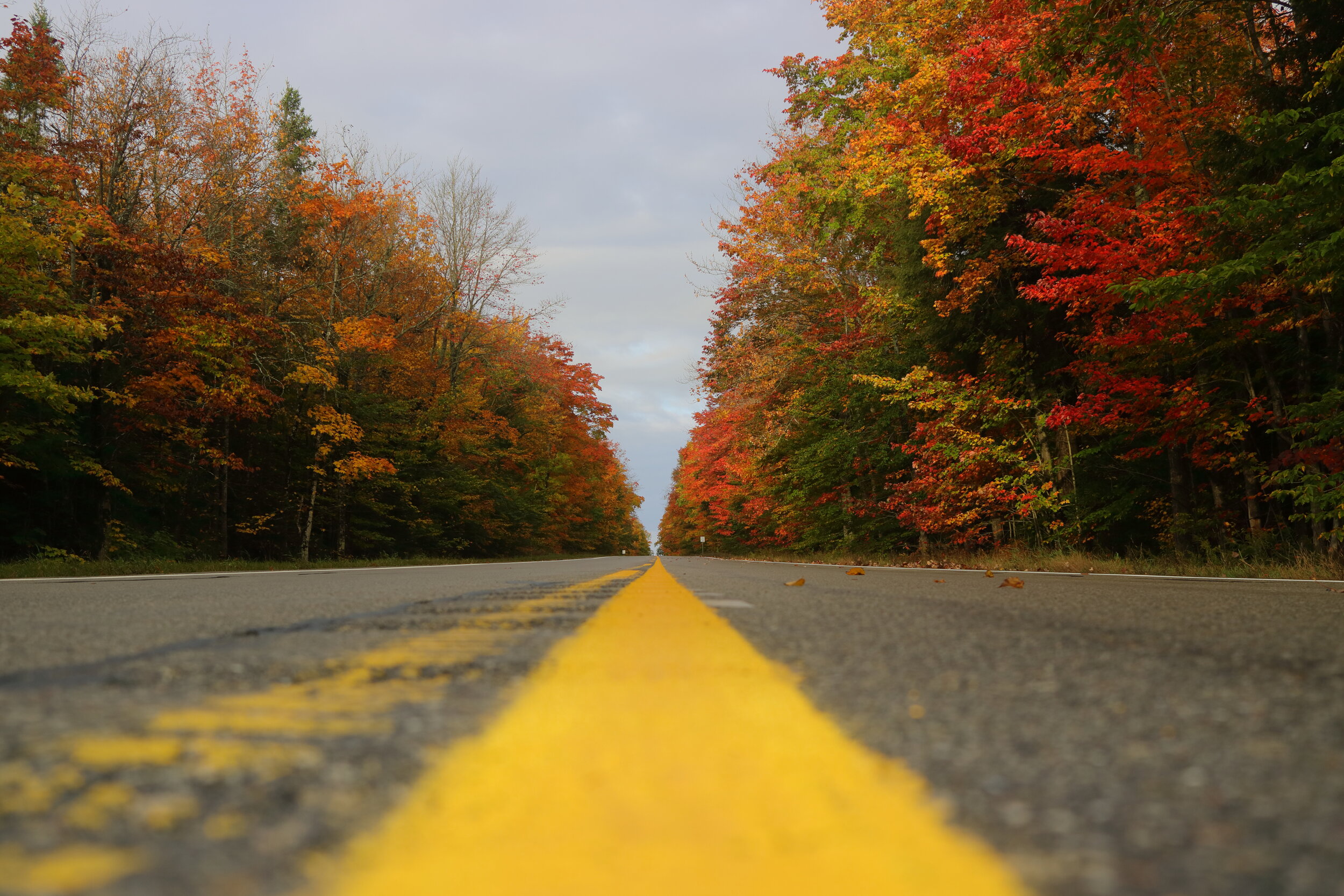 The road more colorful
