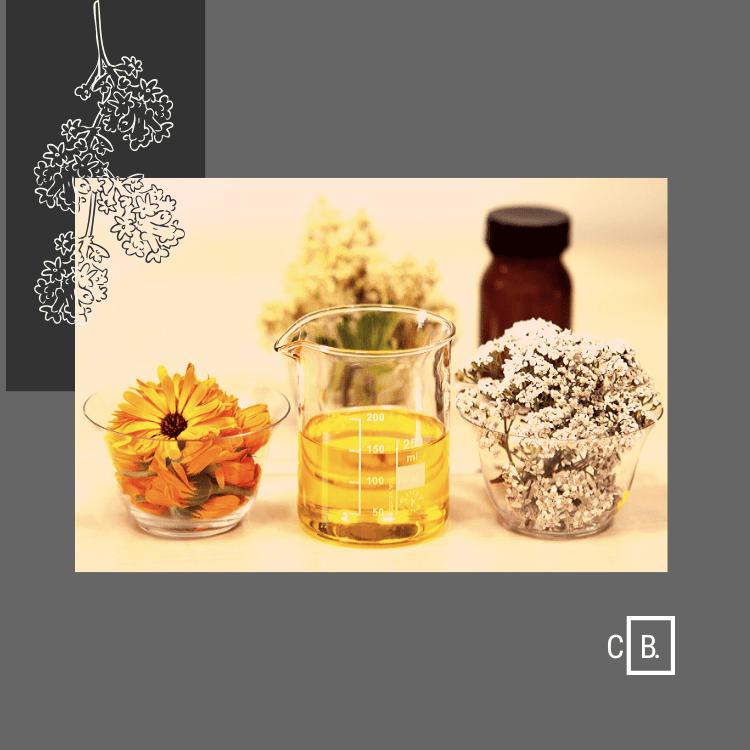 Mitos y Realidades: Aceites esenciales para la piel