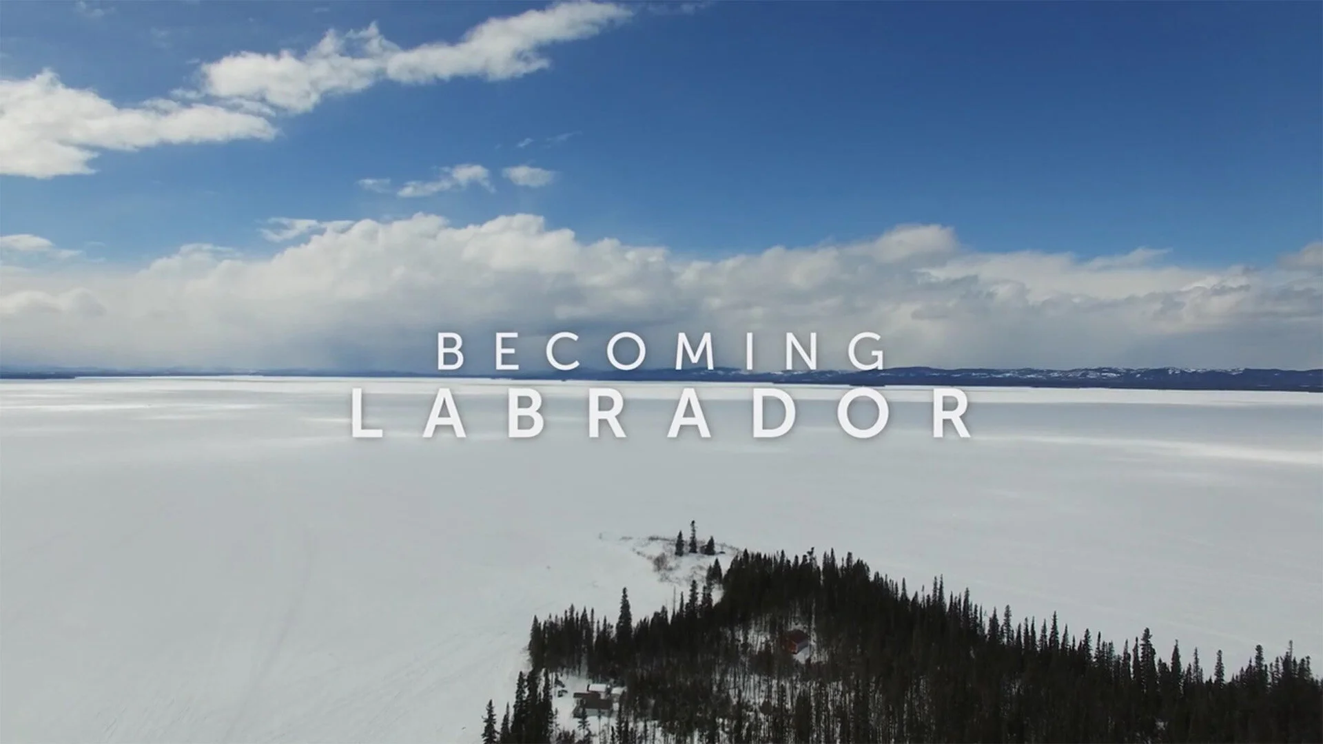 Becoming Labrador cover.jpg