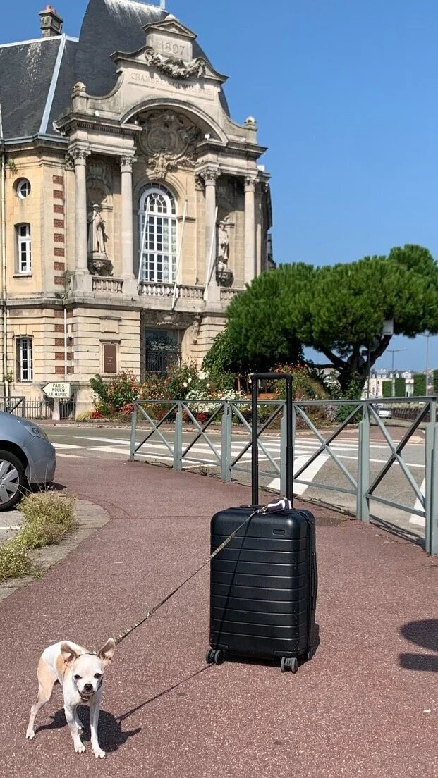 Henry is now an international traveler!