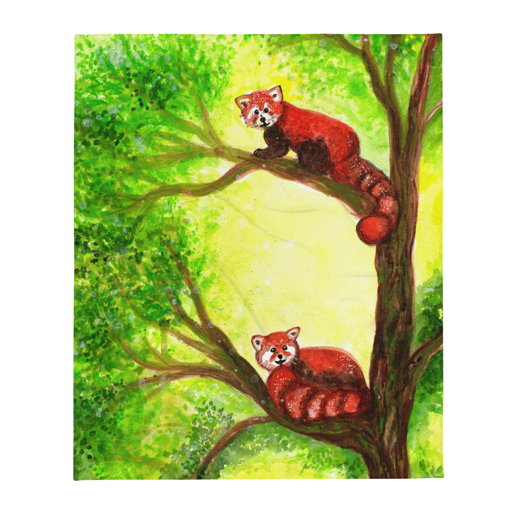 throw-blanket-50x60-front-6384352d307ed.png