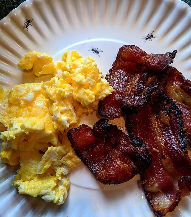 A hearty breakfast. Bacon, eggs and ants. Keto friendly. Protein city.