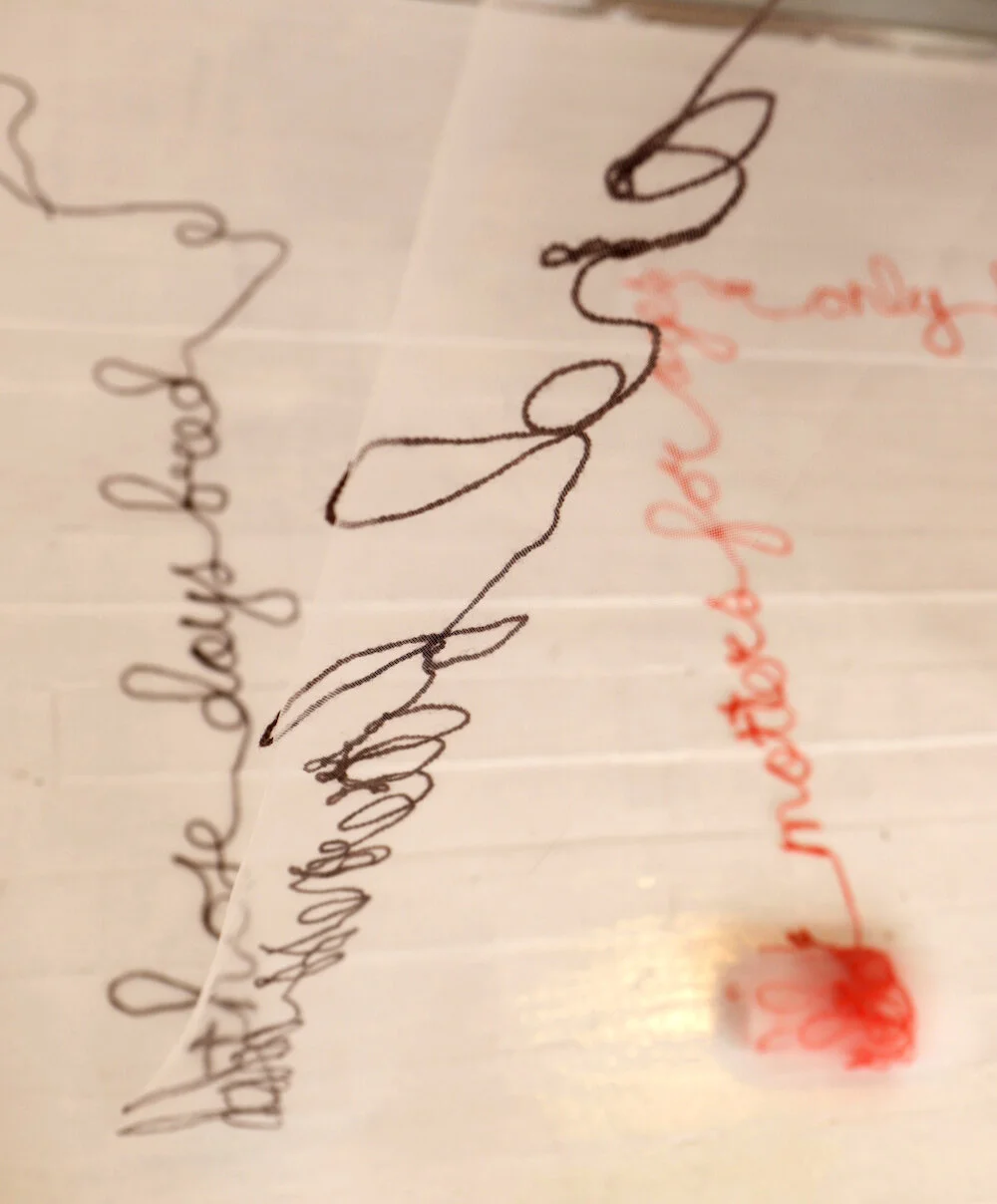 Submission 1_Sechrist_Wool Words_detail 2.jpeg