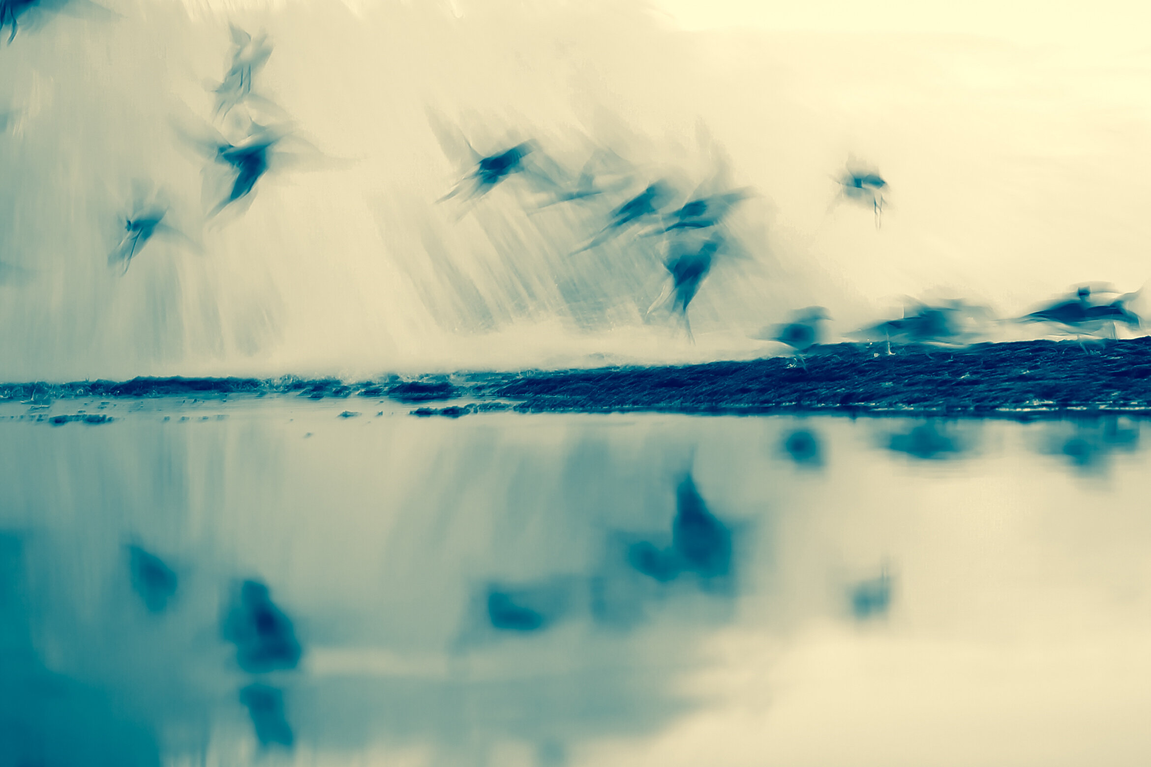 Abstract Bird Blues - Fine Art Metal Print