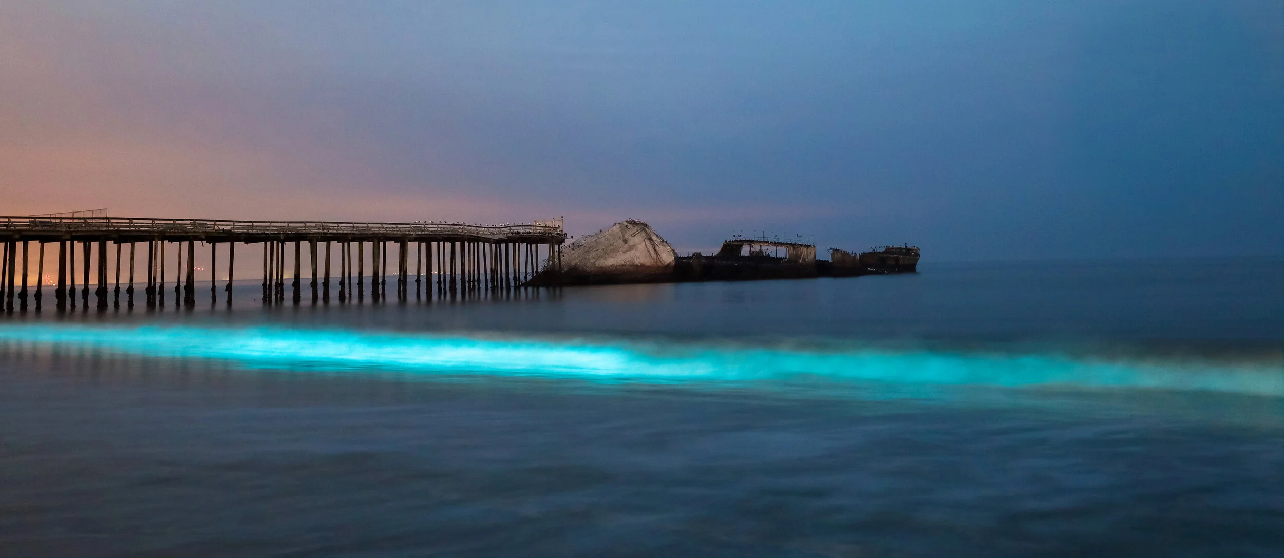 Bioluminescent Waves - Fine Art Metal Print