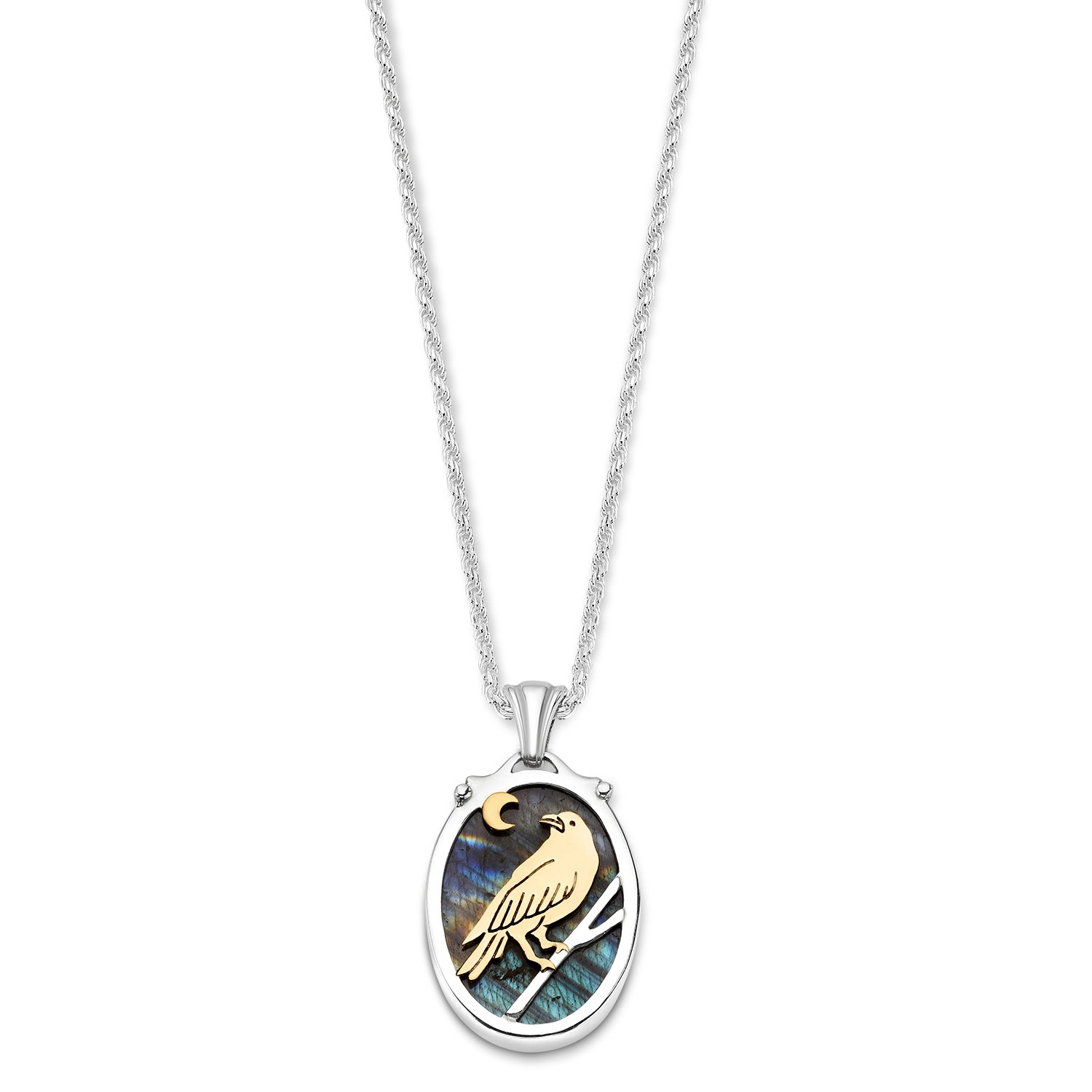 The Raven Talisman Necklace — Kelly Morgen Jewelry