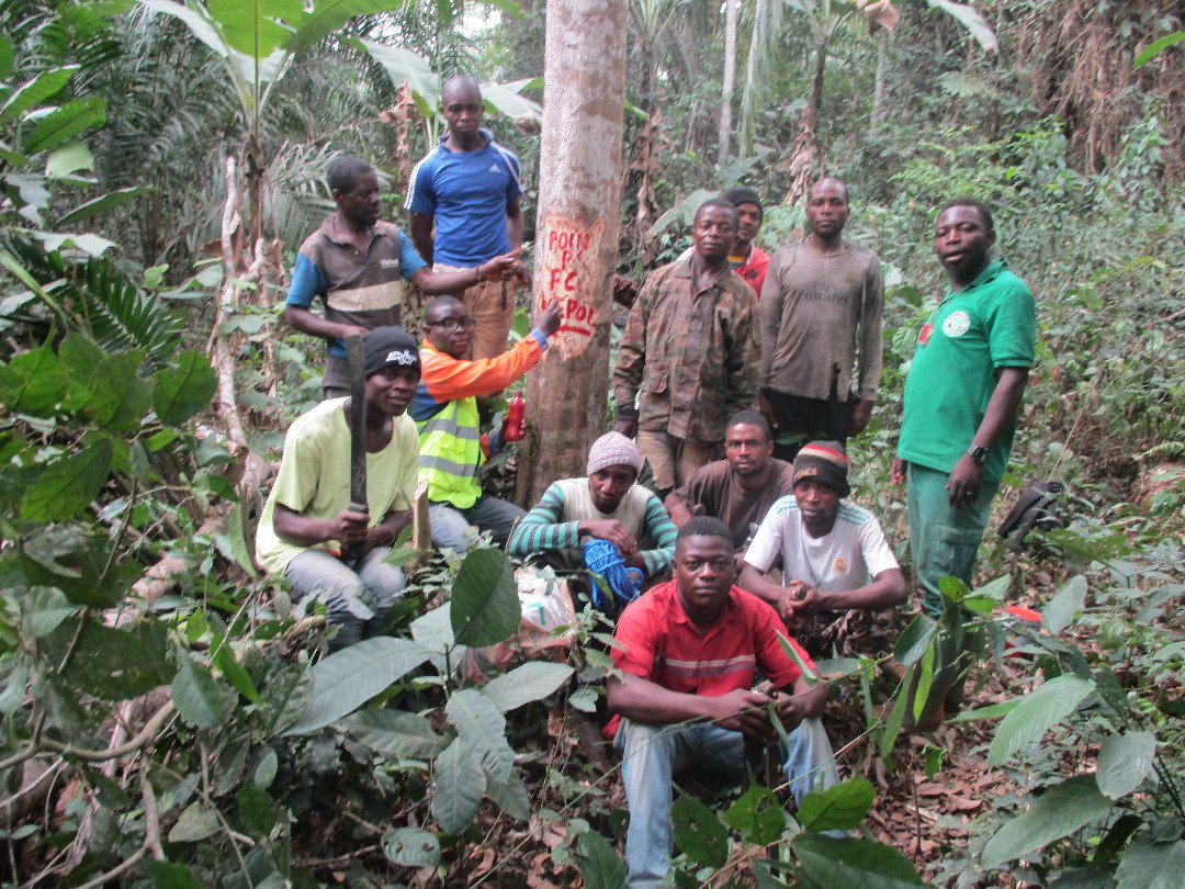 Demarcation of community forests in Cameroon_2.jpeg