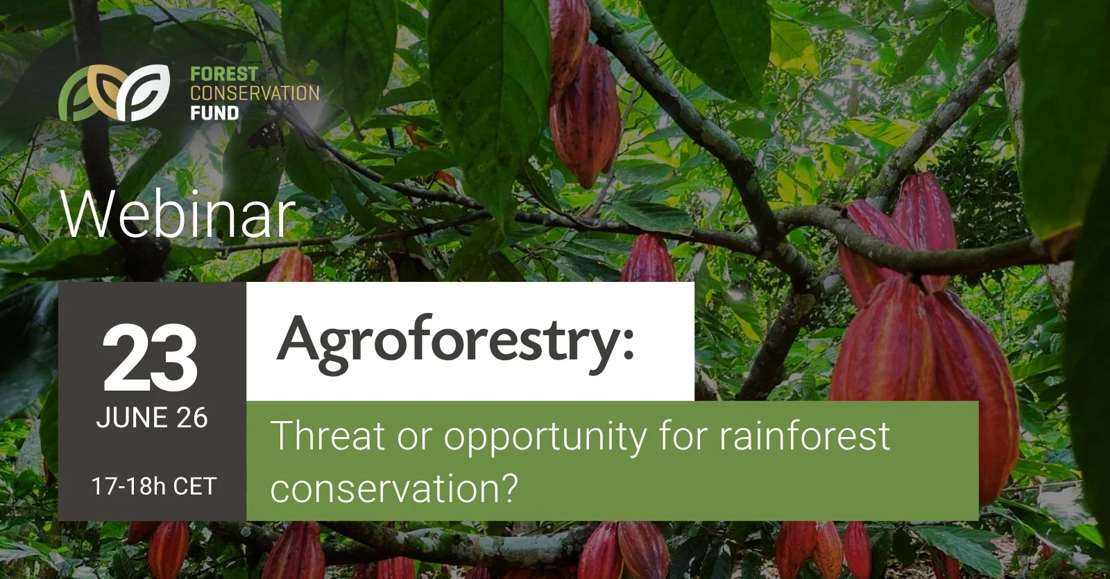 🌳 At what point does agroforestry become deforestation?

Agroforestry can restore soils, support biodiversity, and strengthen livelihoods &mdash; but what happens when it begins replacing natural forests?

Join this webinar exploring the balance bet