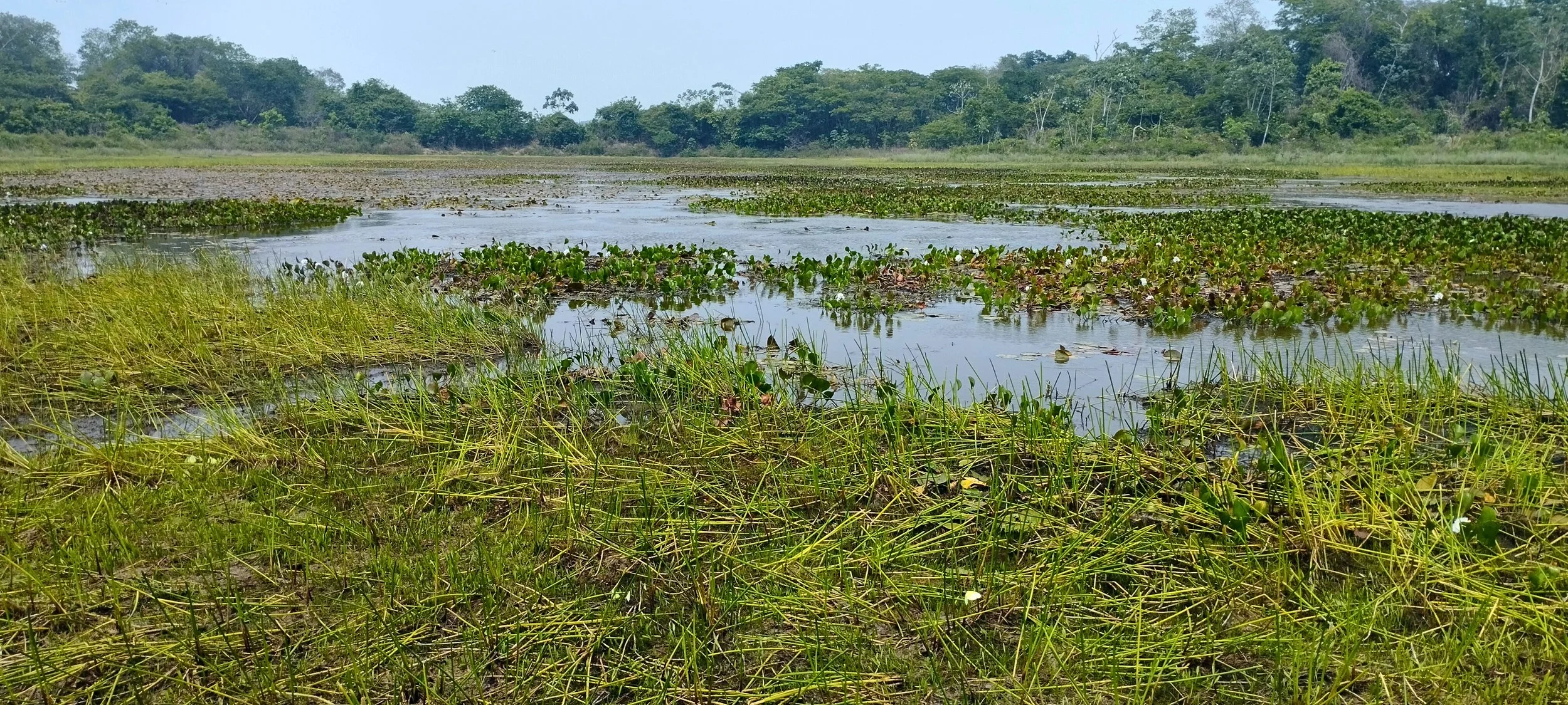Laguna Sicurí (Laguna Marrimia).jpg