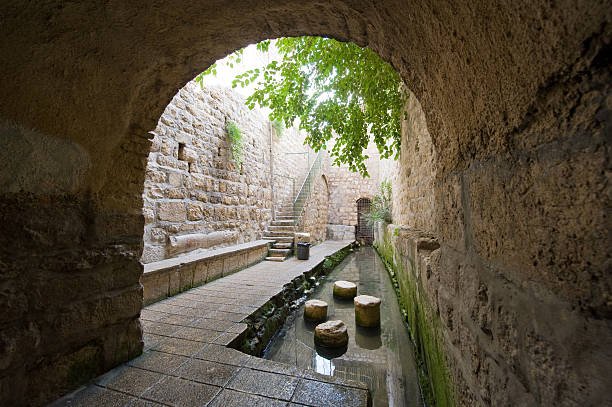 Fourth Sunday of Lent 