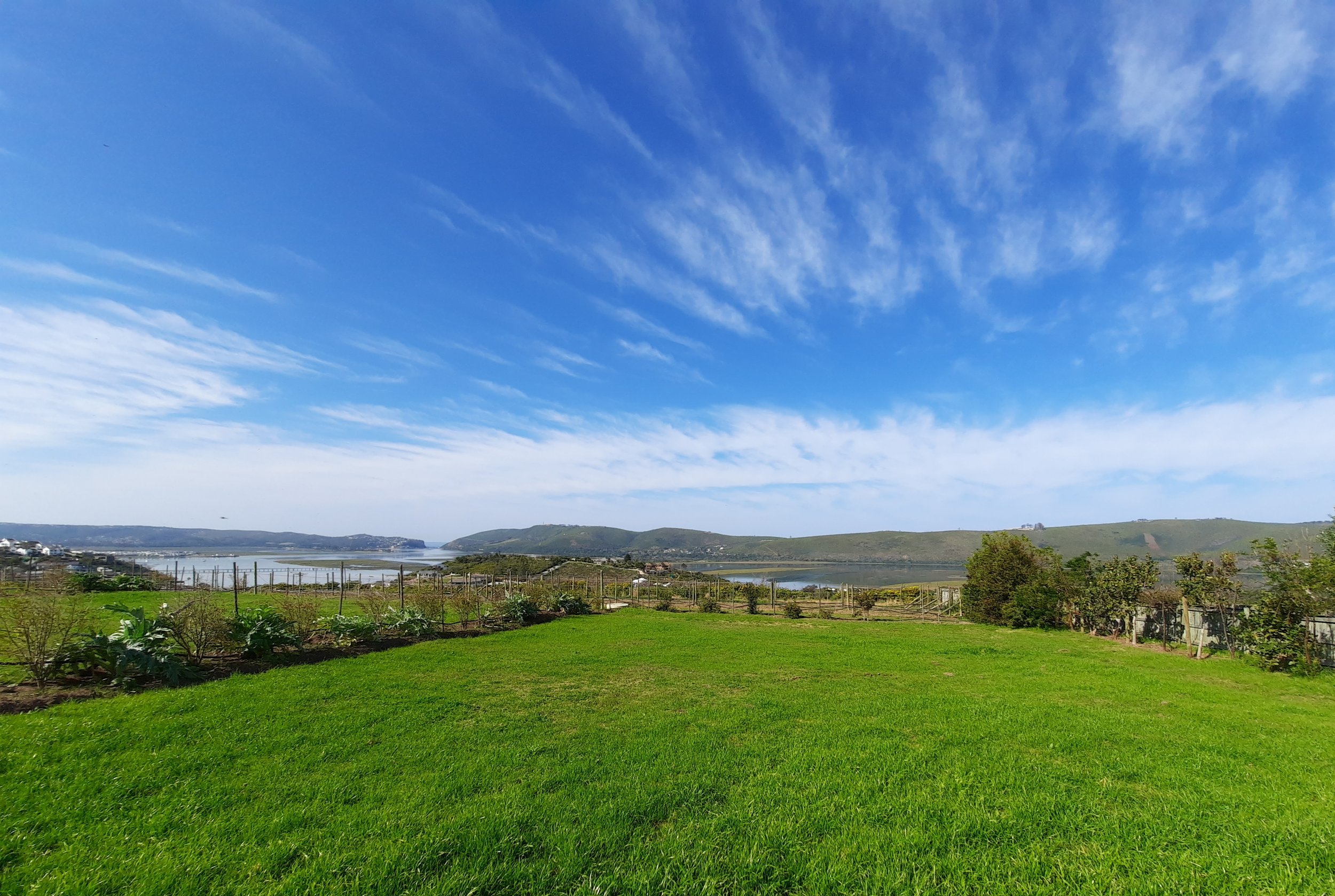 20200905_155023.jpg