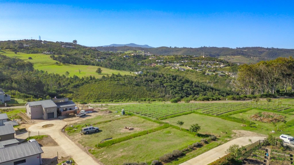 DJI_0967.jpg