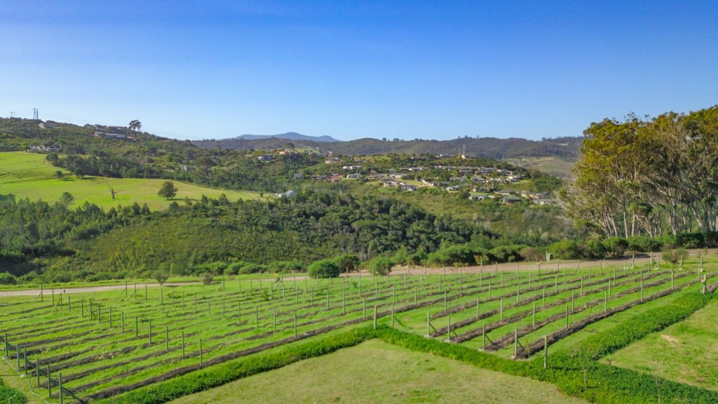 DJI_0971.jpg
