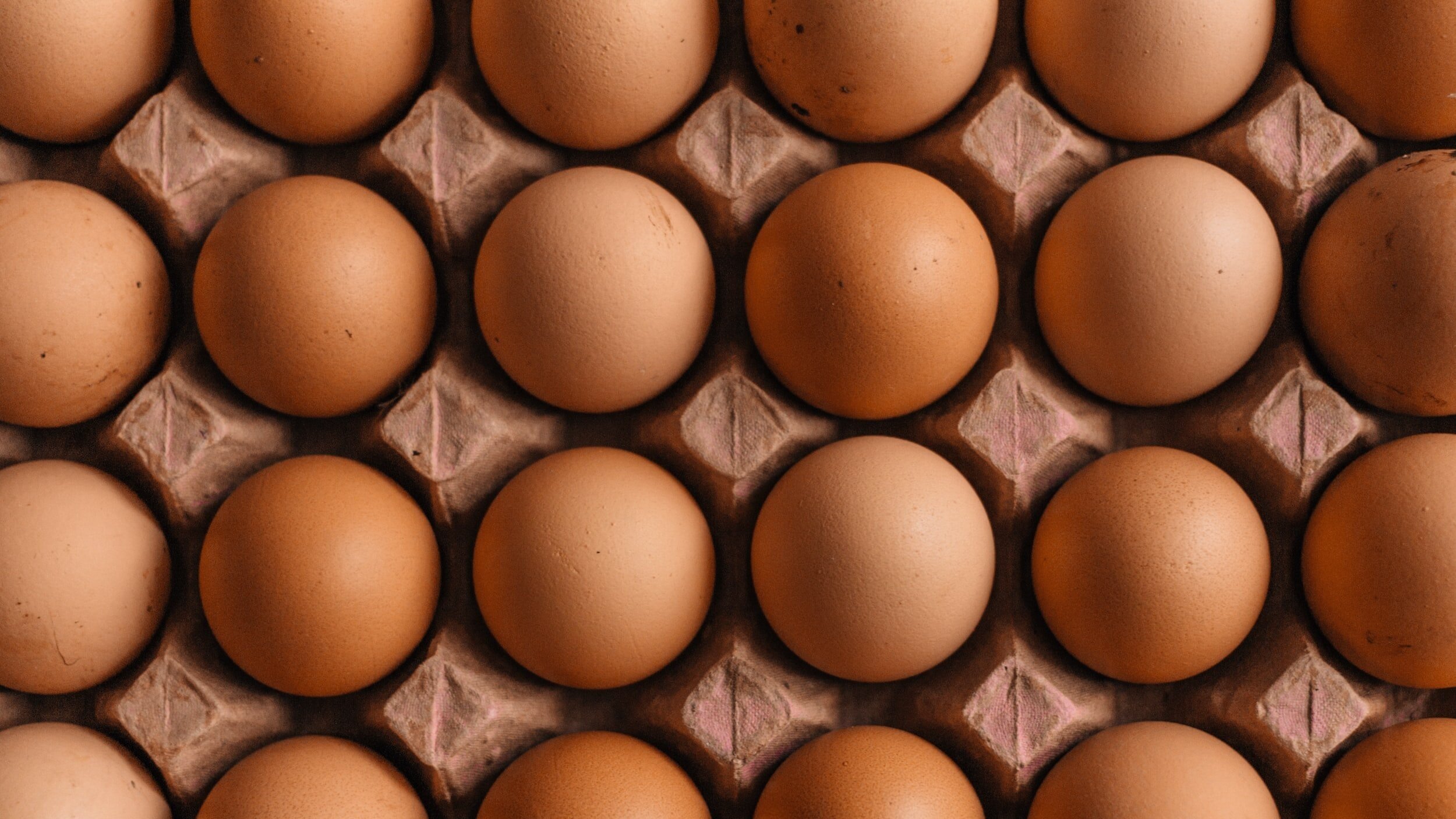 Top 10 Must-Have Insurance Types for Poultry and Egg Producers (NAICS Code 1123) - Protect Your Business Today