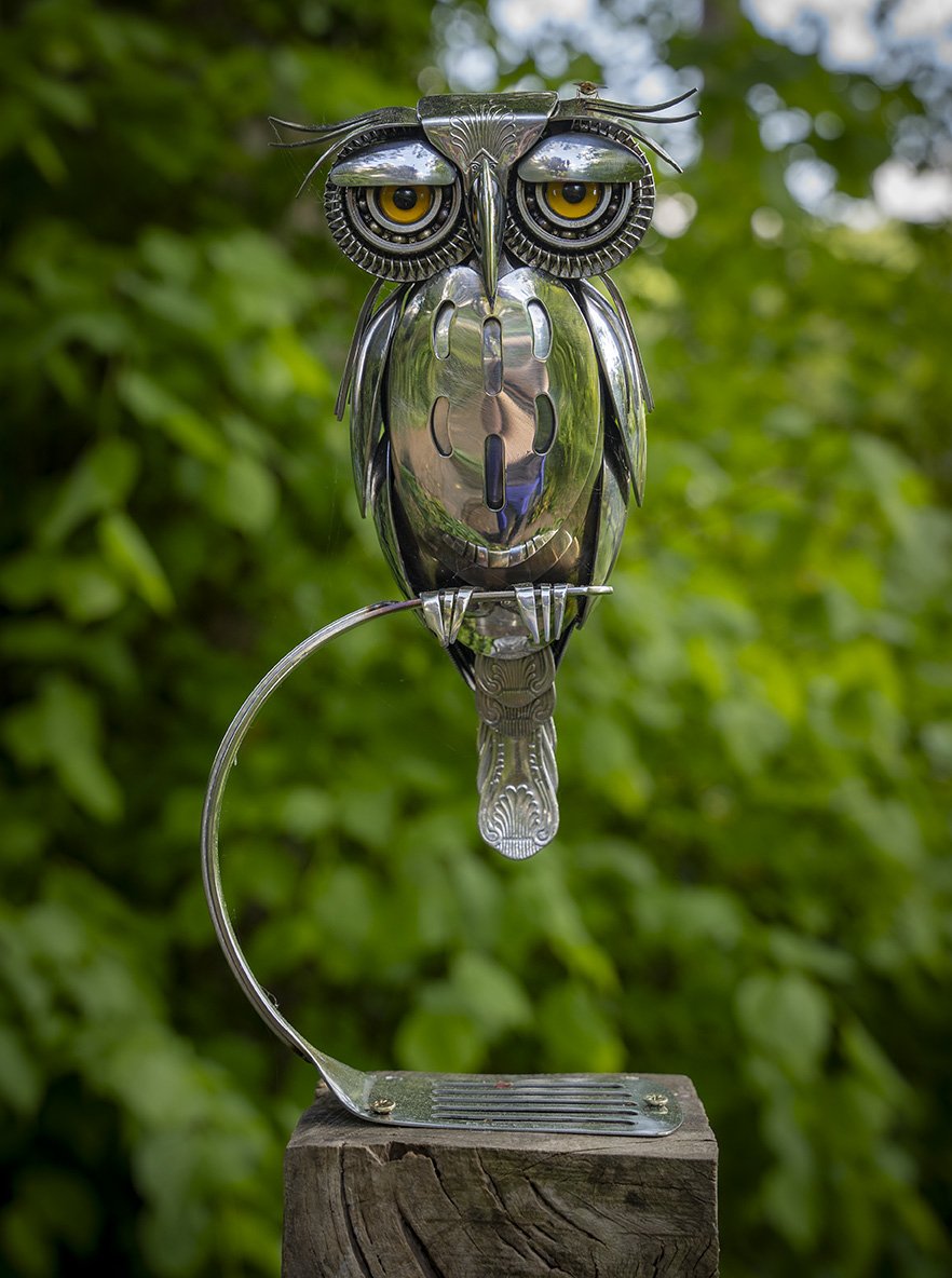 Owl - Rich Bindon