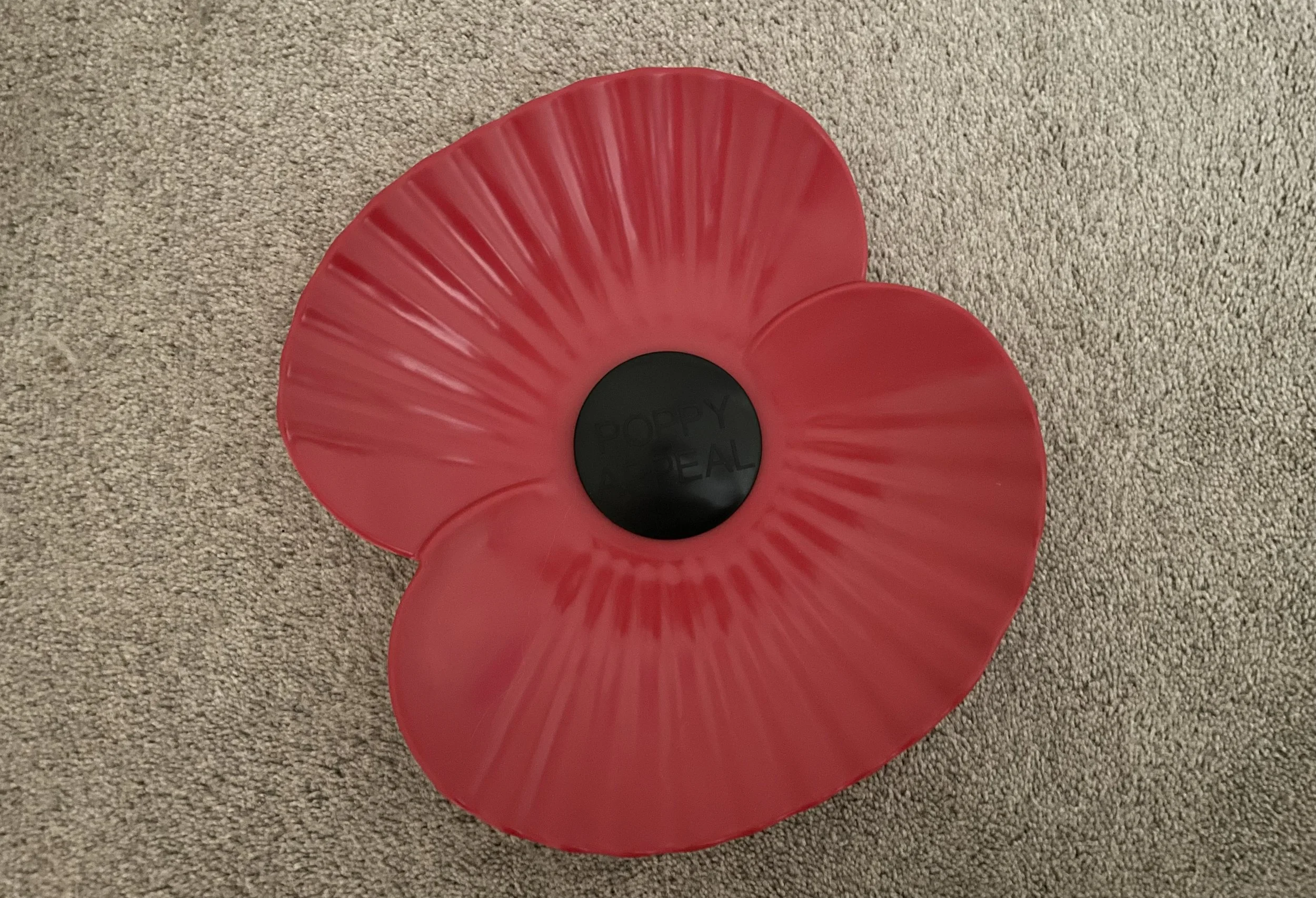 Worship for Remembrance Sunday: led by our Minister
