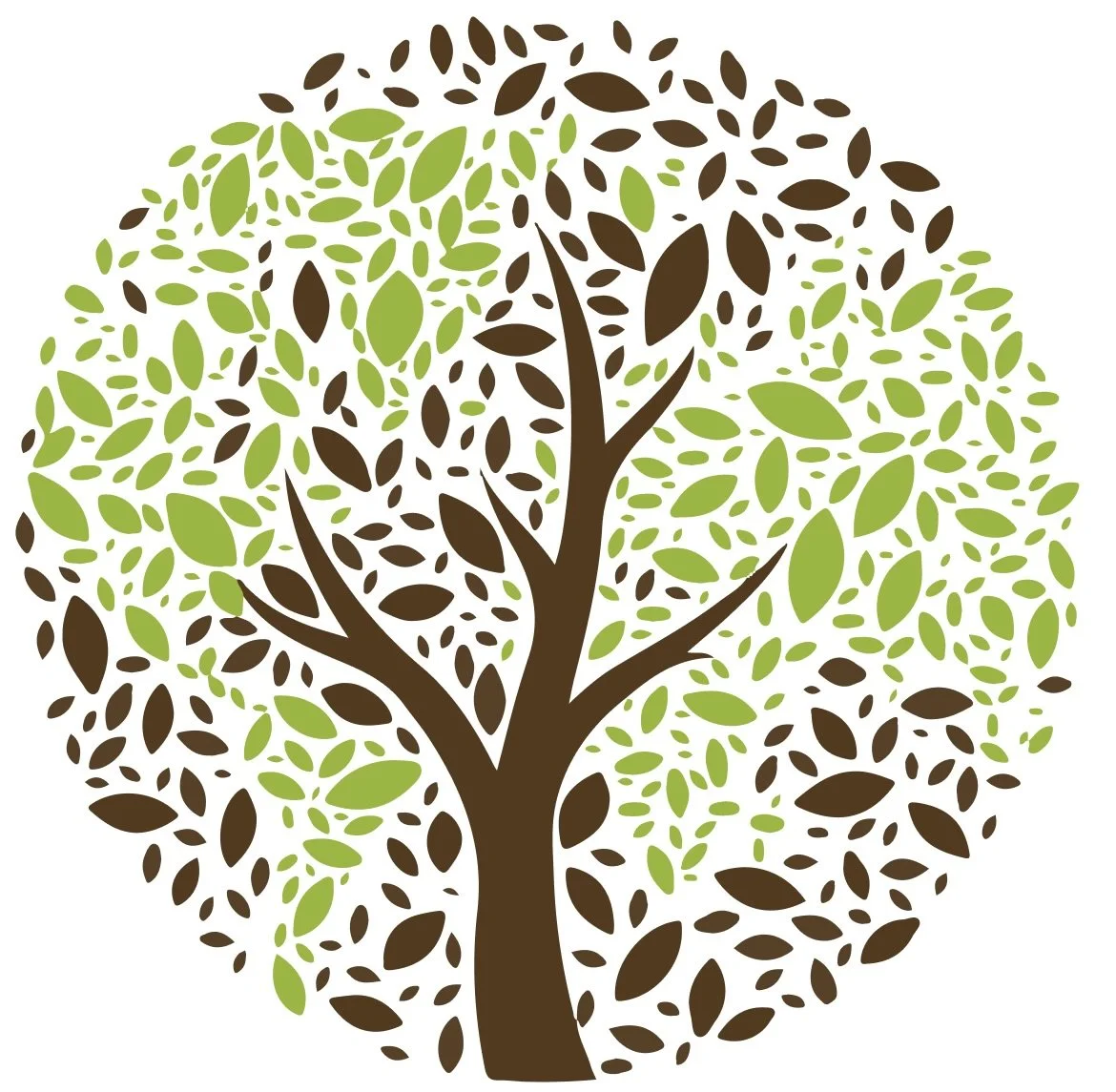 Worship in the Season of Creation: led by our Ministers 