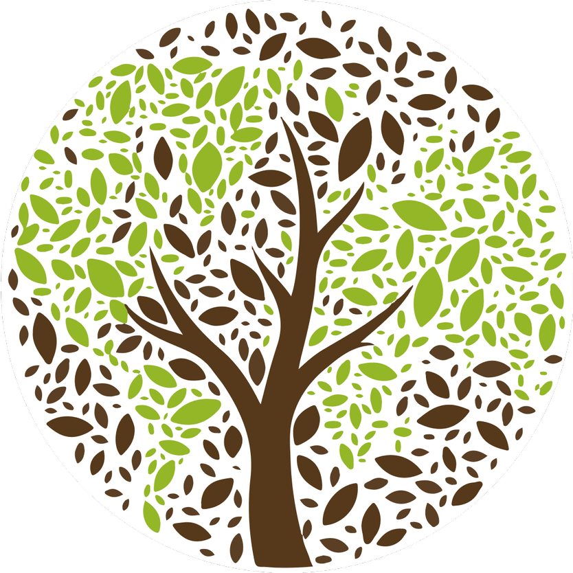 Worship in the season of creation: led by our Minister  