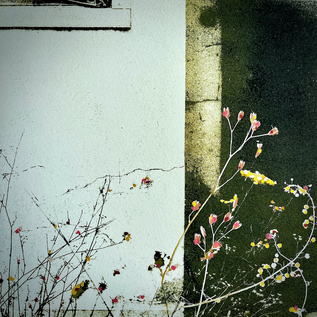 Jo Olney Thrive 20x20cm Mixed media £225.jpeg