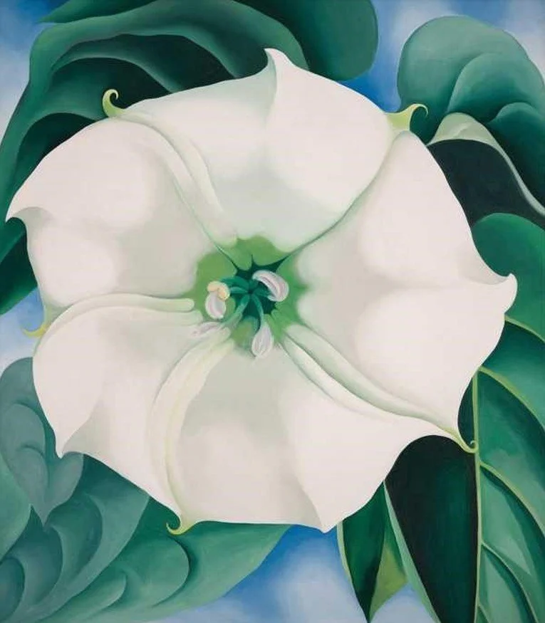 Two Day Botanical Art Masterclass 25/26 July