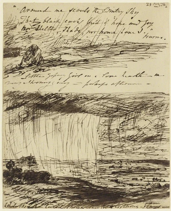 Drawing Closer to Nature: One Day Drawing course Sunday 9 August