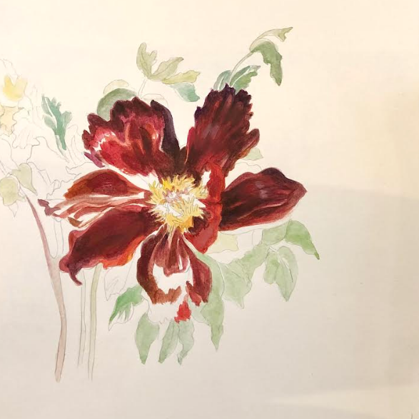 Botanical Art Weekend 20-21 March