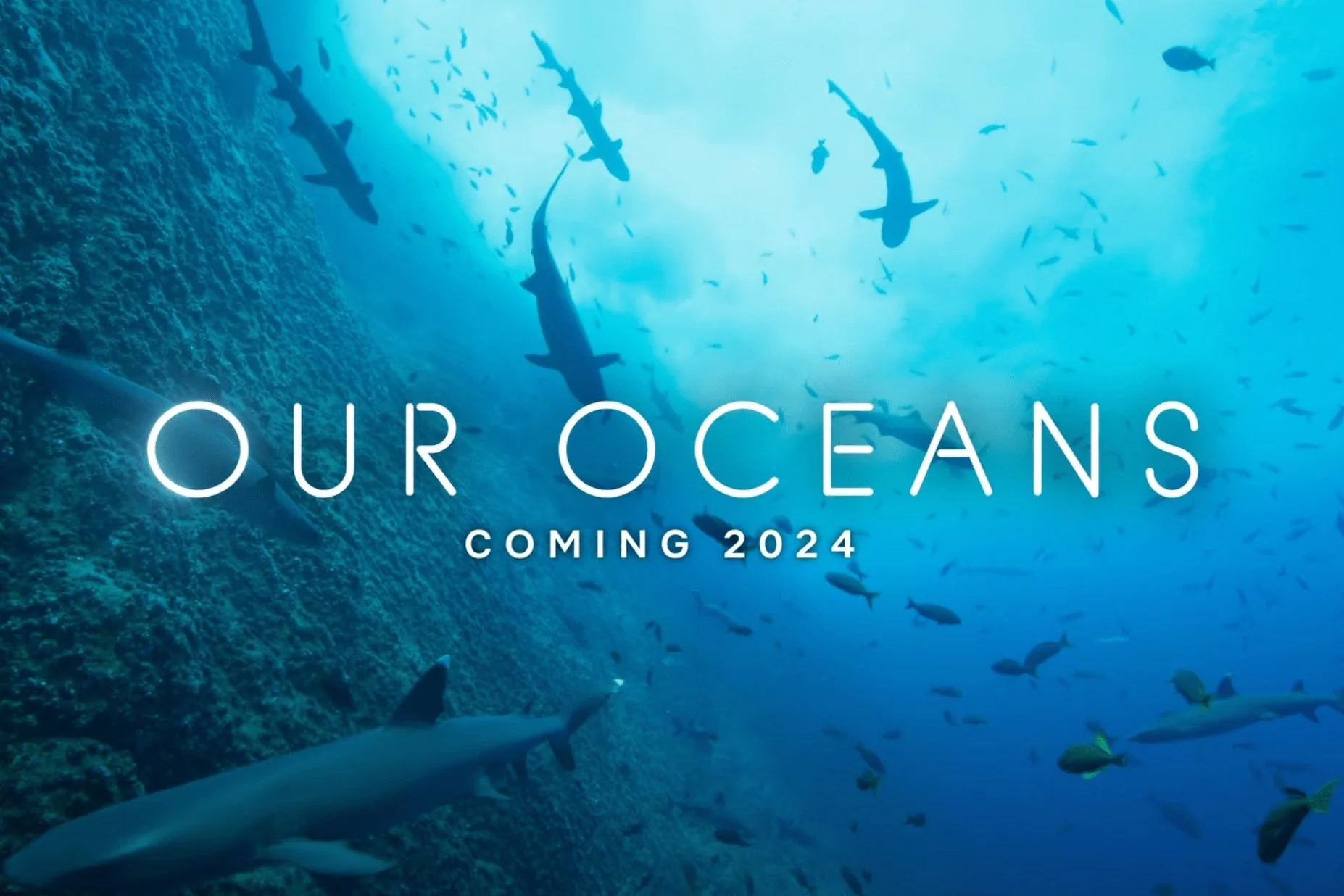 Our Oceans First Look! 