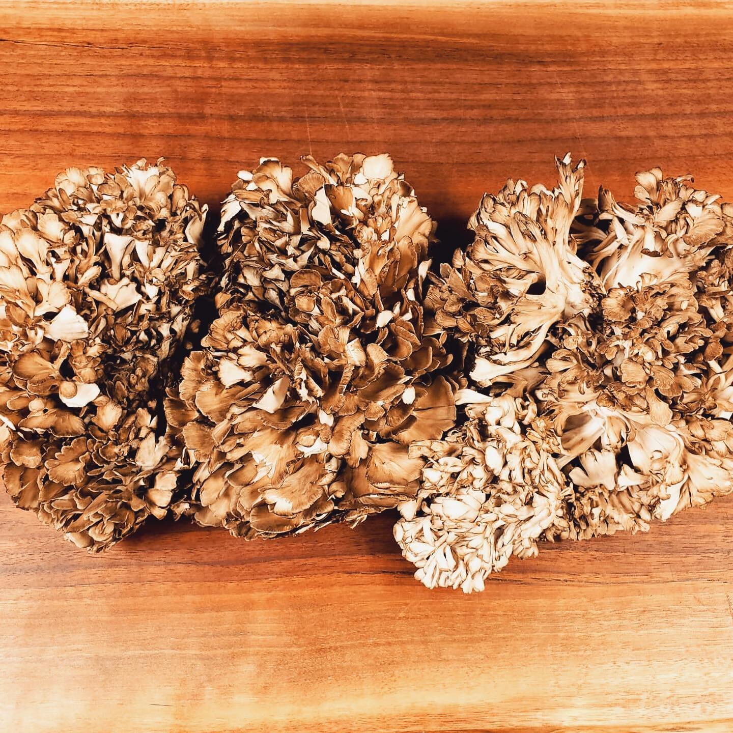 Check out these beautiful Kennett Square maitake mushrooms! Be sure to stop in this week for our market omelette that will be featuring them!
