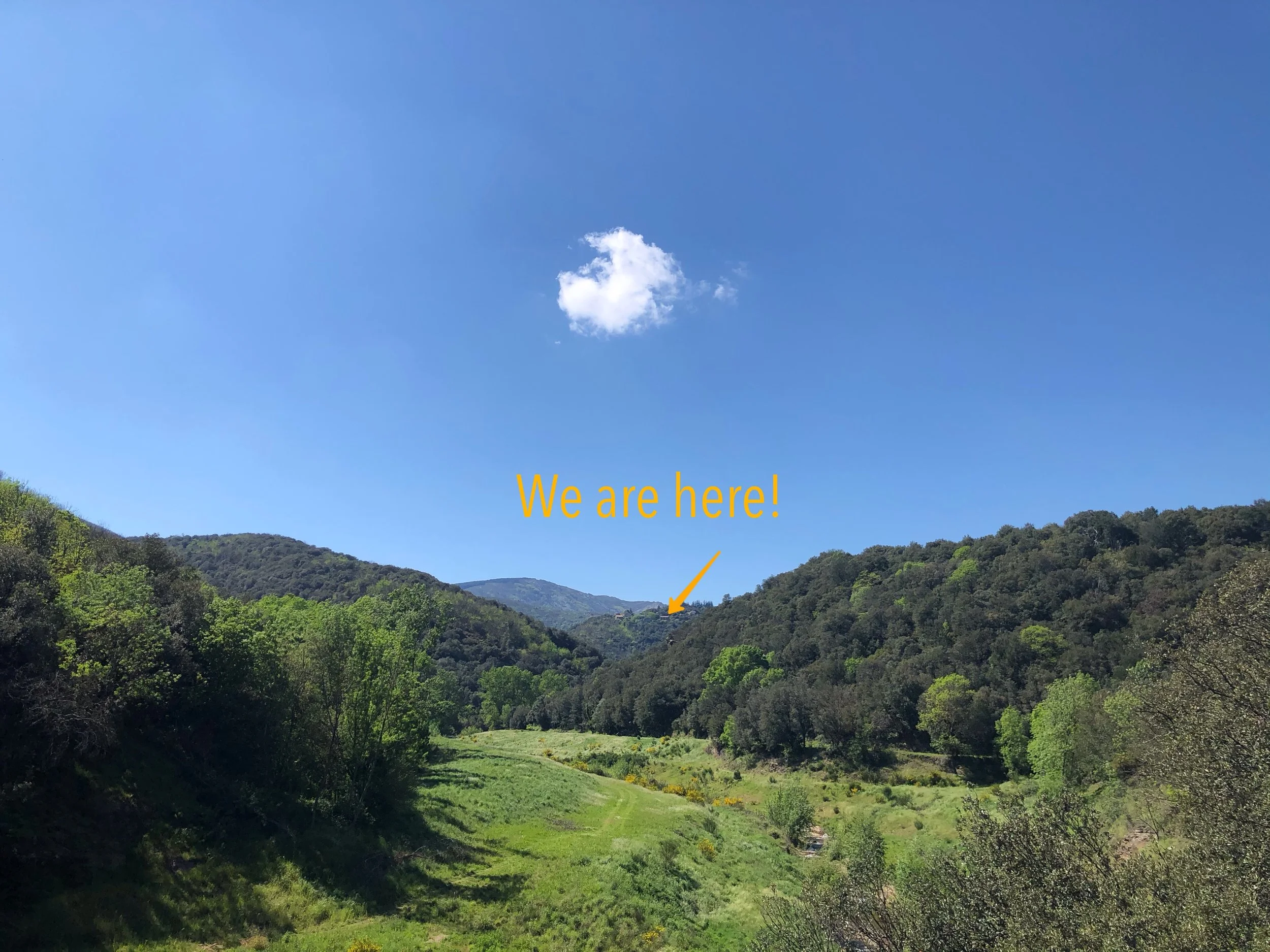 JPEG image-1297A5A400FB-1.jpeg