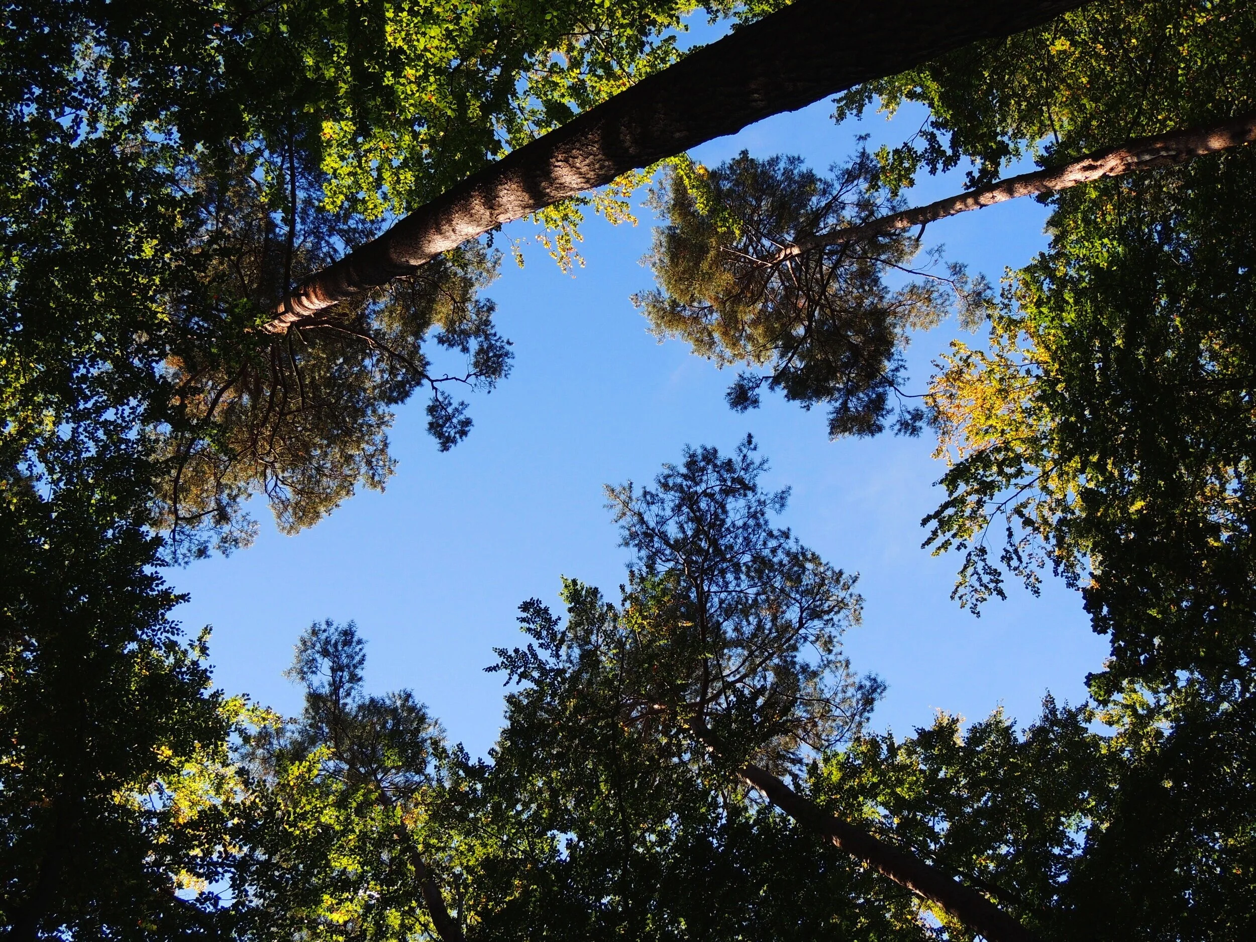 DSCN4623.jpg