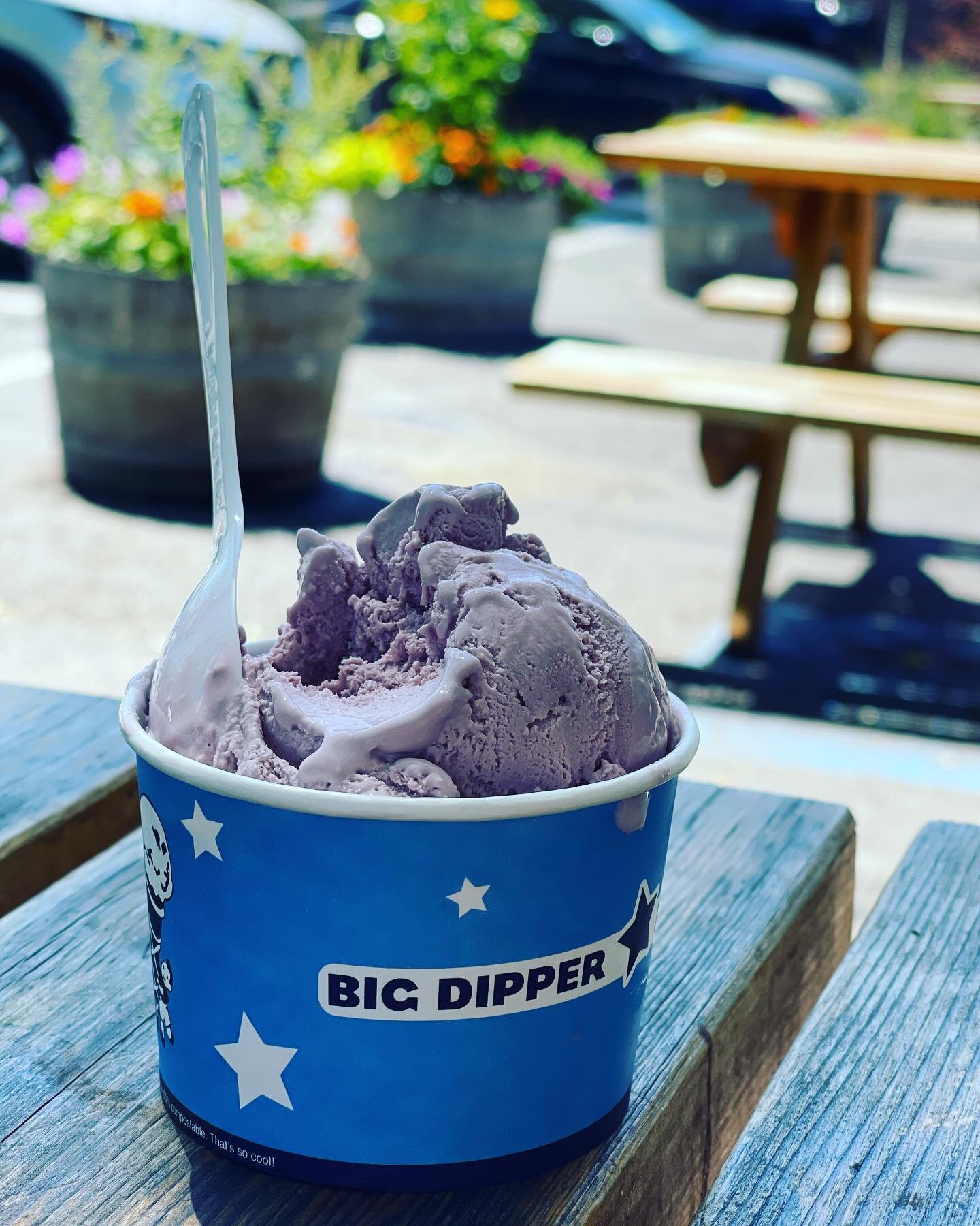 Missoula, I&rsquo;m your huckleberry 🍨 
.
.
.
.
#huckleberries #montana #bigdippermissoula #406 #sundayfunday #summervibes #hometana