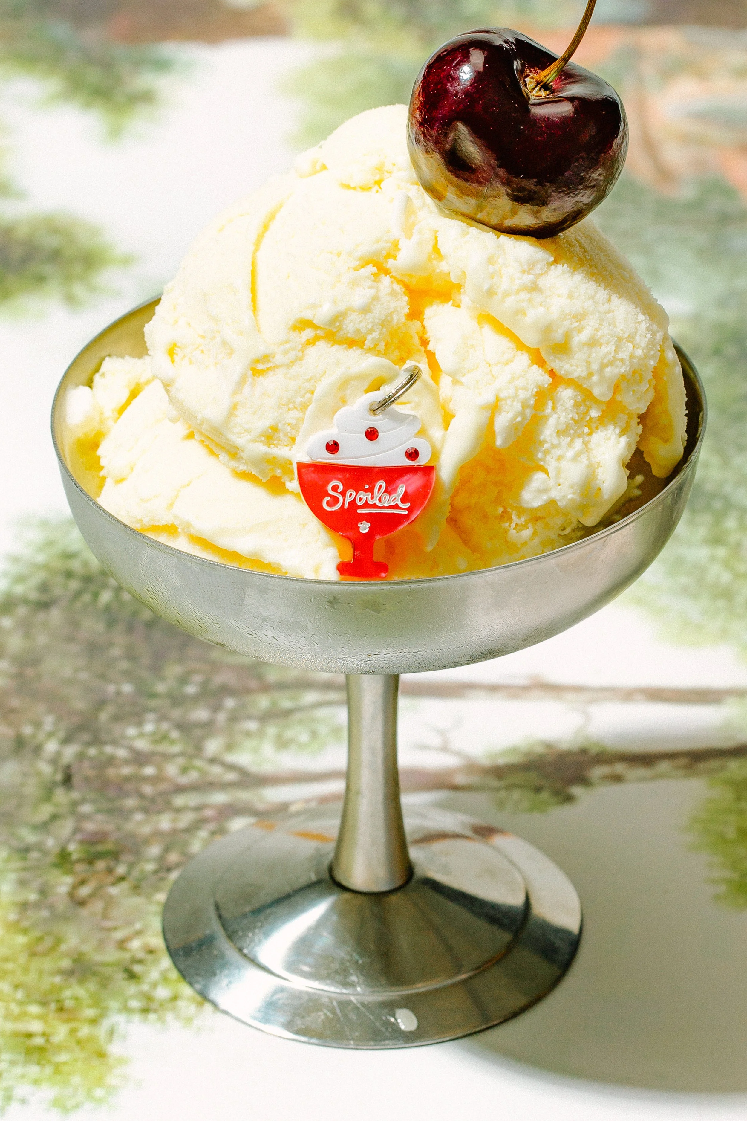 PROPP_B&B_ICECREAM1.jpg